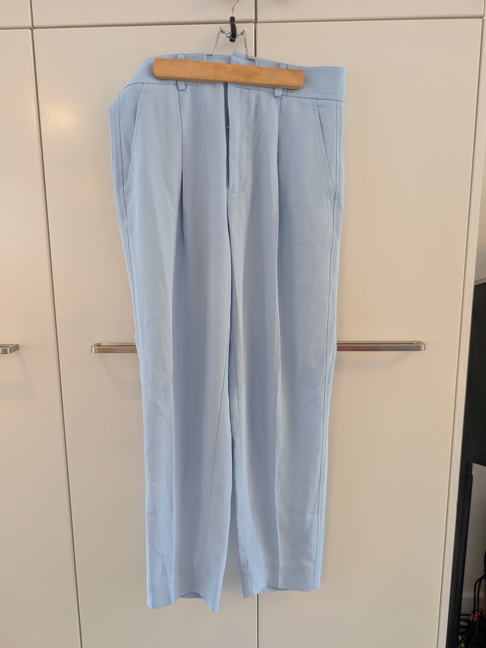 Everlane Light Blue Pleated Women's Trousers